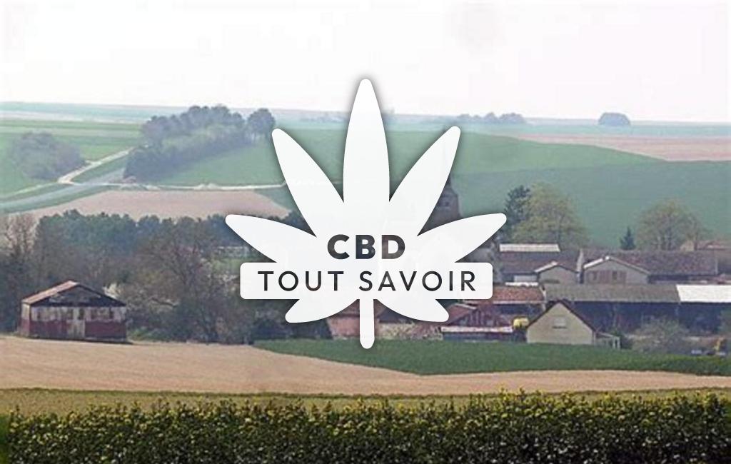 Village à Dommartin-Lettree avec feuille Cannabis CBD