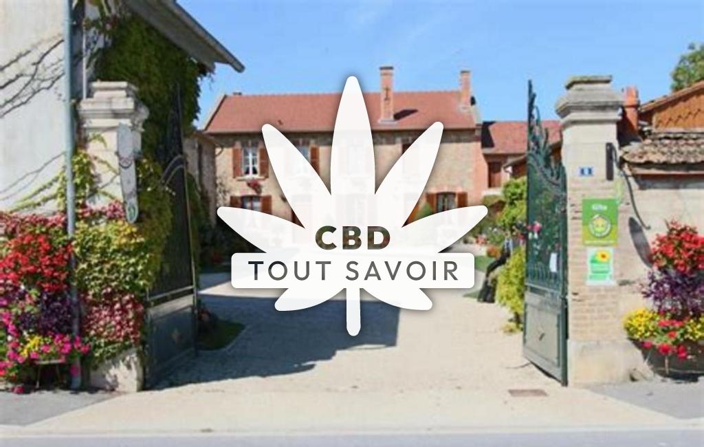 Village à Faux-Vesigneul avec feuille Cannabis CBD