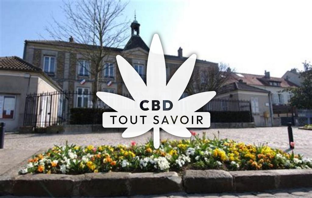 Village à Bussy-le-Repos avec feuille Cannabis CBD