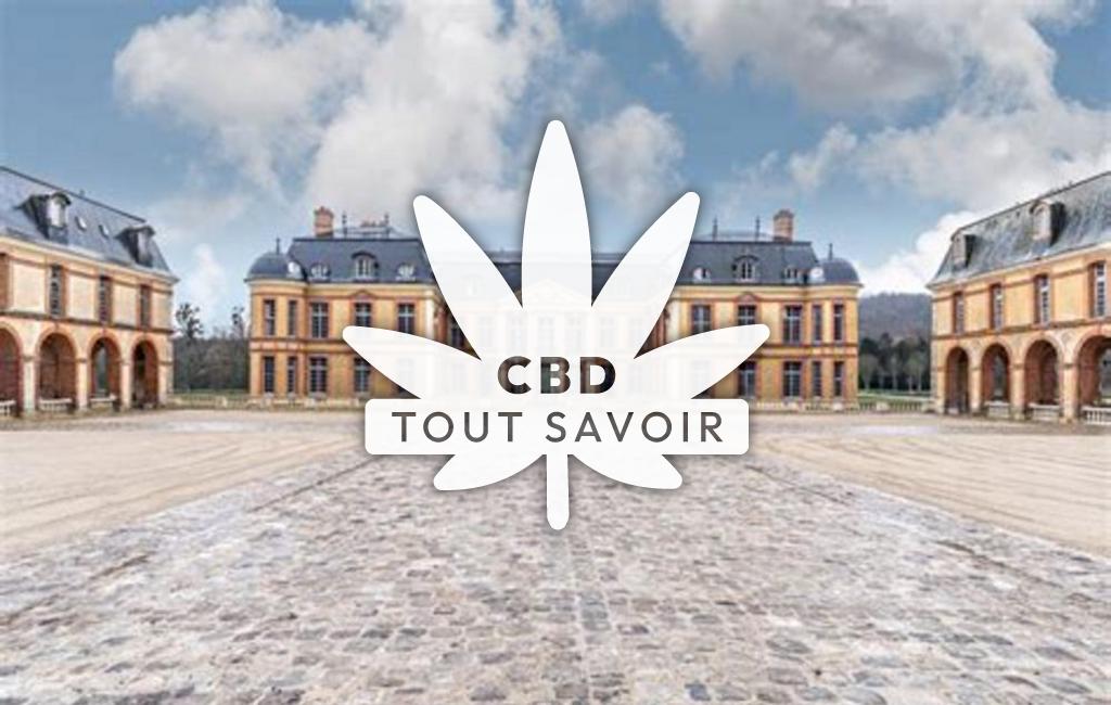 Village à Dampierre-le-Chateau avec feuille Cannabis CBD