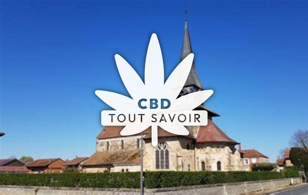 Village à Heiltz-le-Maurupt avec feuille Cannabis CBD