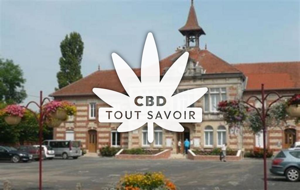 Village à Pargny-sur-Saulx avec feuille Cannabis CBD
