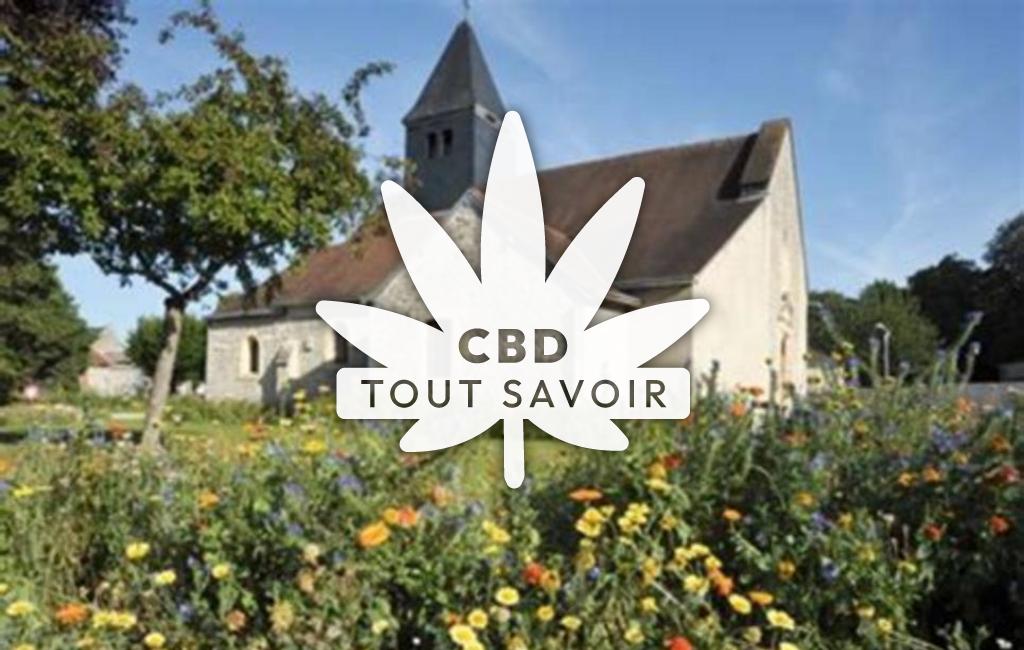 Village à Saint-Brice-Courcelles avec feuille Cannabis CBD