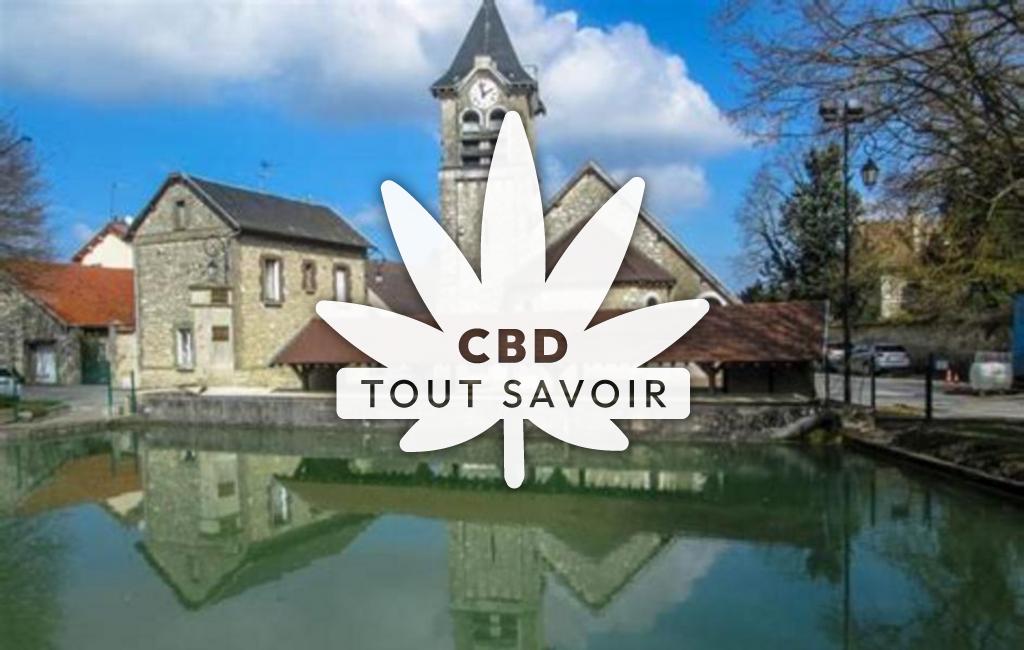 Village à Jouy-les-Reims avec feuille Cannabis CBD