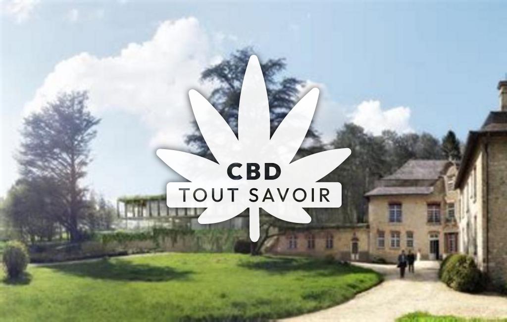Village à Mery-Premecy avec feuille Cannabis CBD
