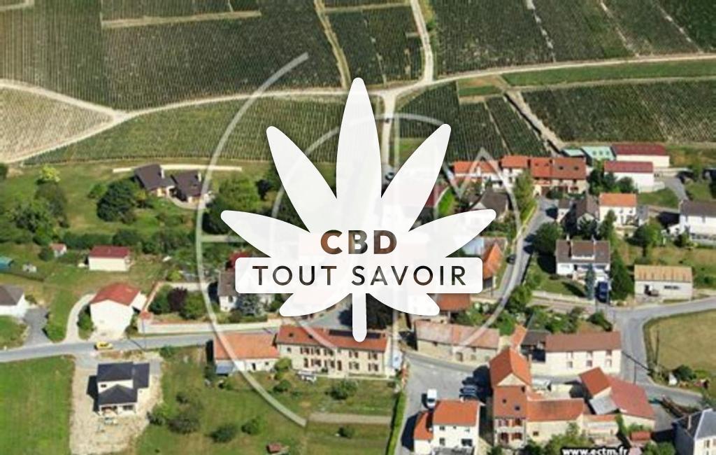 Village à Saint-Euphraise-Et-Clairizet avec feuille Cannabis CBD