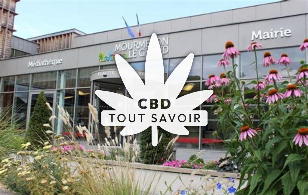 Village à Mourmelon-le-Grand avec feuille Cannabis CBD