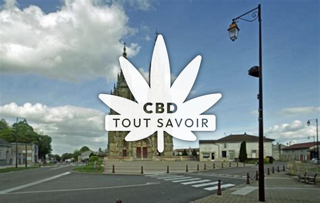 Village à Saint-Hilaire-au-Temple avec feuille Cannabis CBD