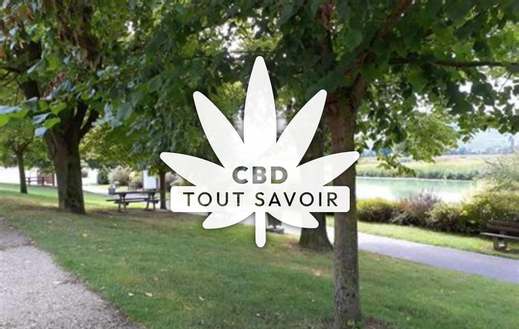 Village à Damery avec feuille Cannabis CBD