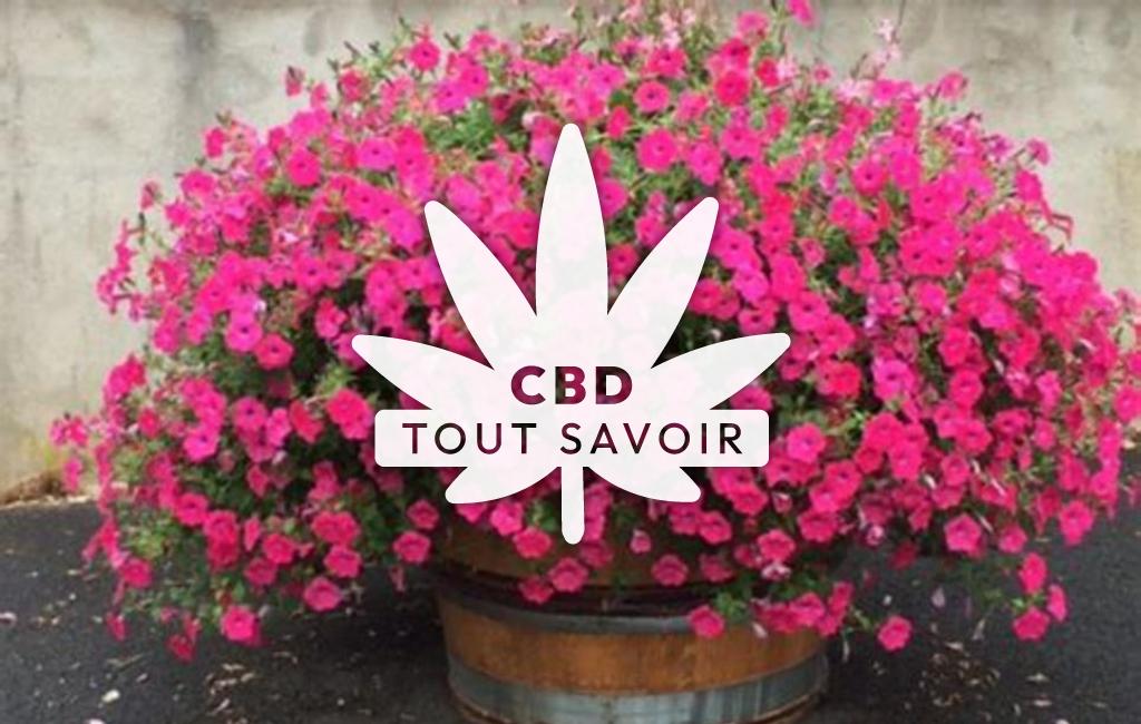 Village à Fleury-la-Riviere avec feuille Cannabis CBD