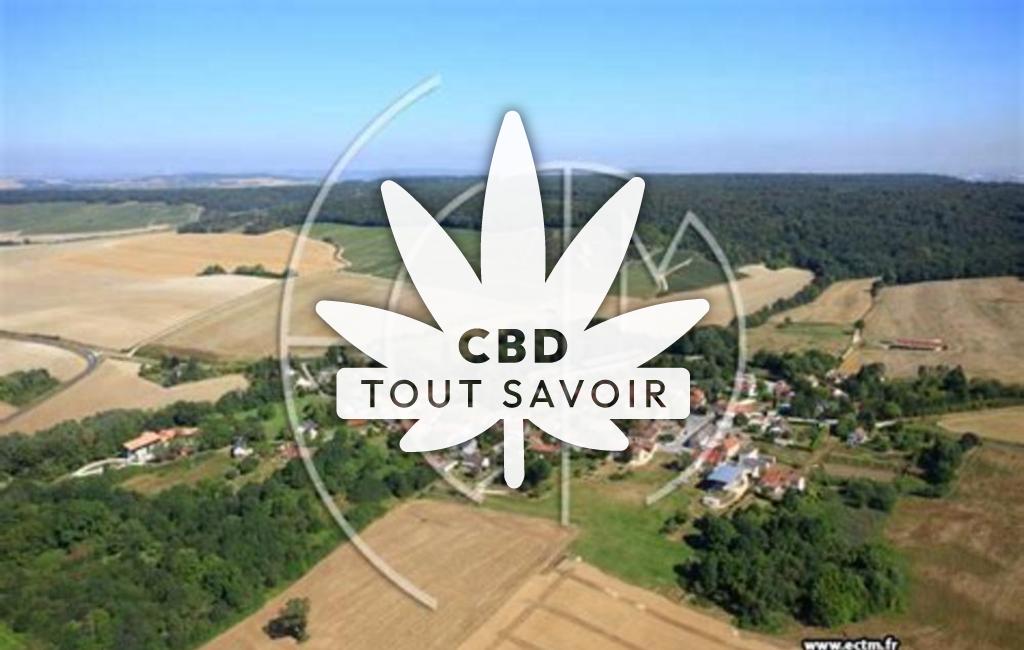 Village à Pourcy avec feuille Cannabis CBD