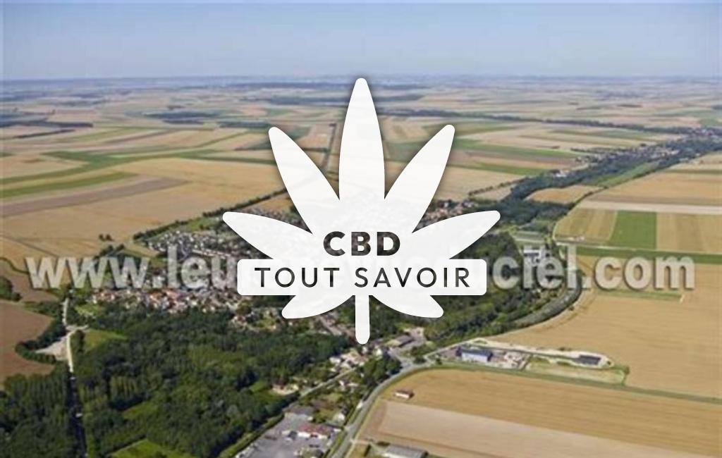 Village à Pontfaverger-Moronvilliers avec feuille Cannabis CBD