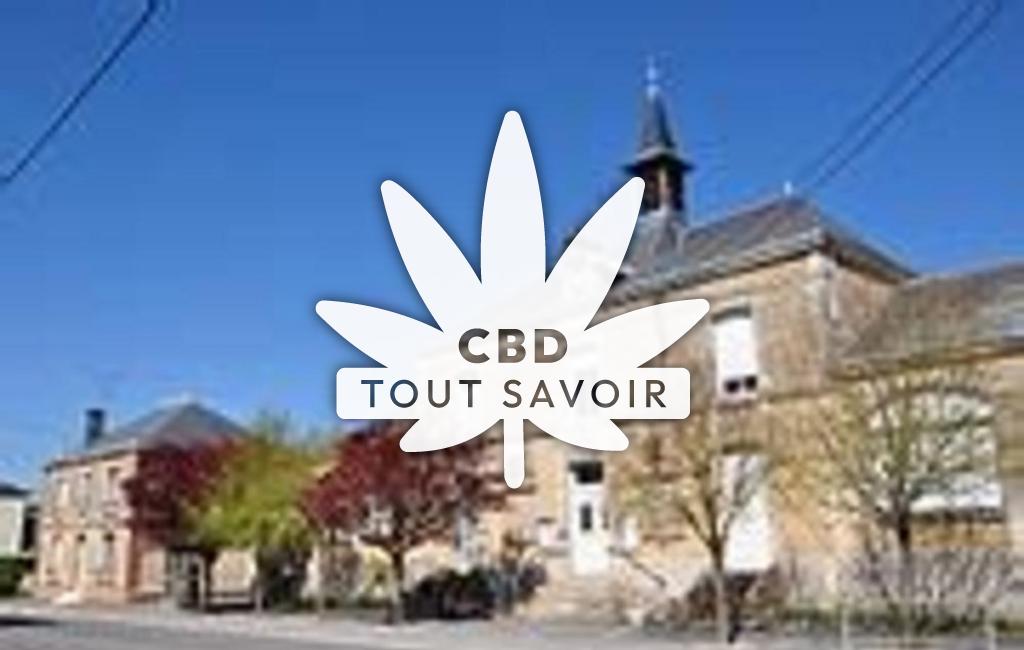 Village à Saint-Hilaire-le-Petit avec feuille Cannabis CBD
