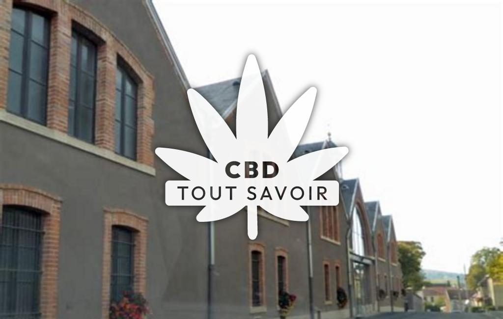 Village à Ludes avec feuille Cannabis CBD