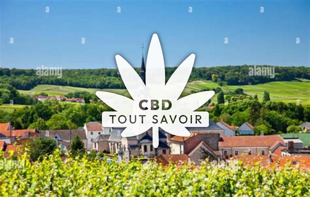 Village à Sermiers avec feuille Cannabis CBD