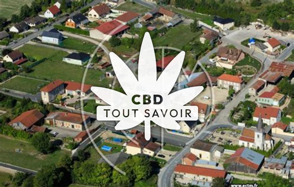 Village à Sogny-aux-Moulins avec feuille Cannabis CBD