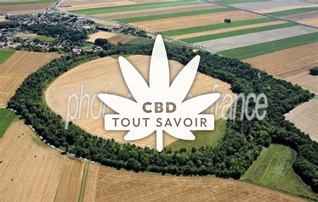 Village à La-Cheppe avec feuille Cannabis CBD