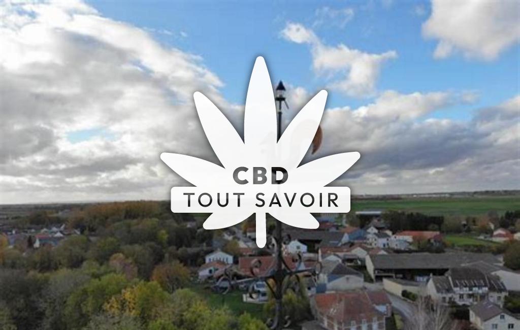 Village à Somme-Suippe avec feuille Cannabis CBD