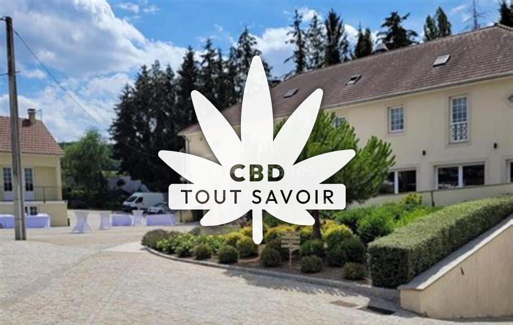 Village à Baslieux-sous-Chatillon avec feuille Cannabis CBD
