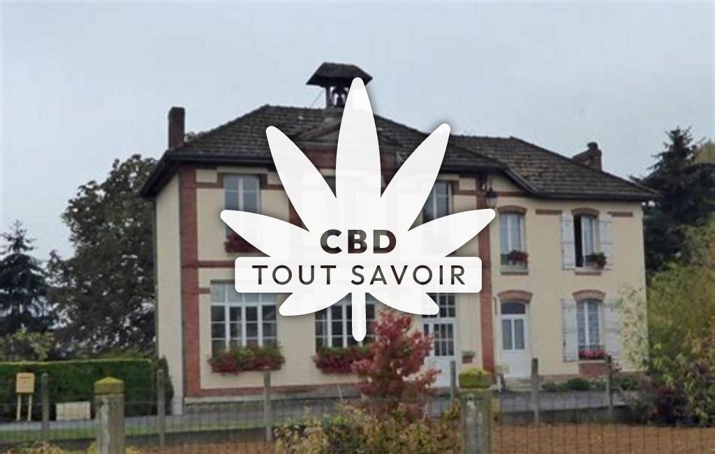 Village à Jonquery avec feuille Cannabis CBD
