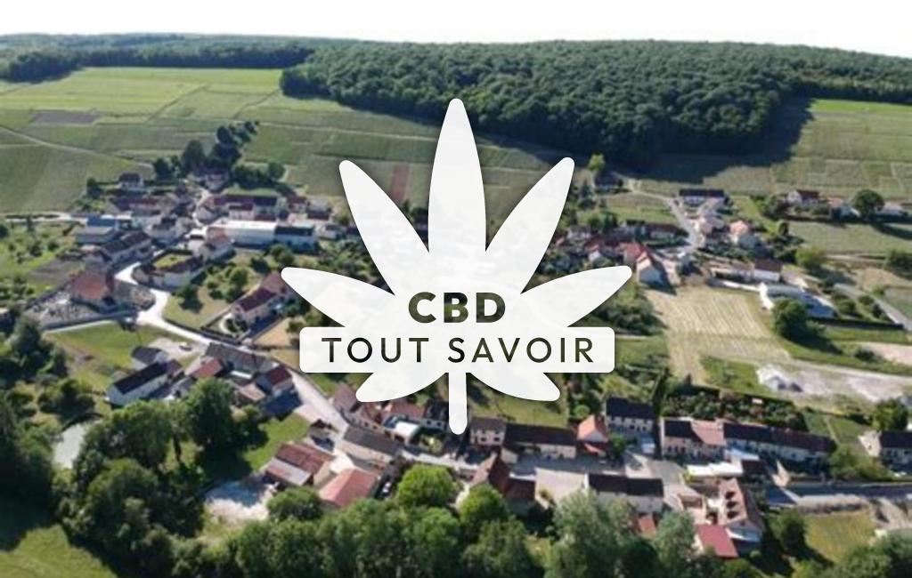 Village à Nesle-le-Repons avec feuille Cannabis CBD