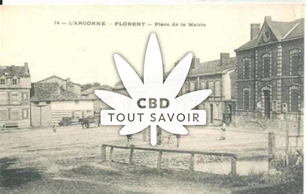 Village à Florent-en-Argonne avec feuille Cannabis CBD