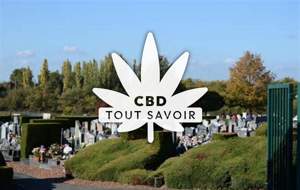 Village à Rouvroy-Ripont avec feuille Cannabis CBD