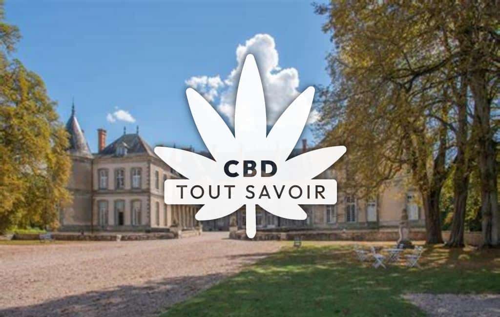 Village à Aingoulaincourt avec feuille Cannabis CBD
