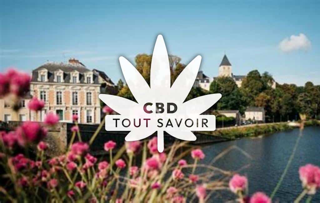 Village à Chateau-Gontier-sur-Mayenne avec feuille Cannabis CBD