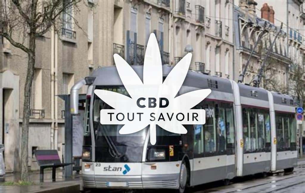 Village à Azelot avec feuille Cannabis CBD