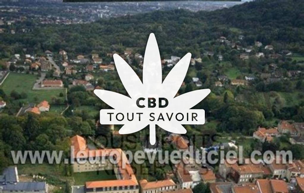 Village à Lessy avec feuille Cannabis CBD