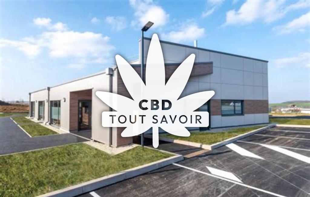 Village à Morville-les-Vic avec feuille Cannabis CBD
