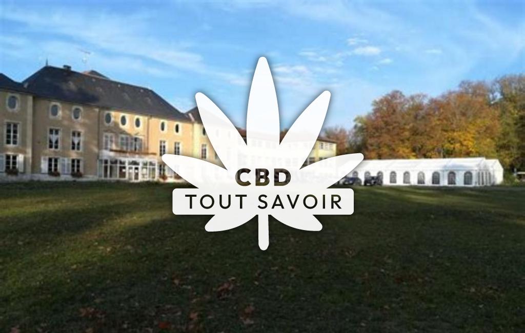 Village à Salonnes avec feuille Cannabis CBD
