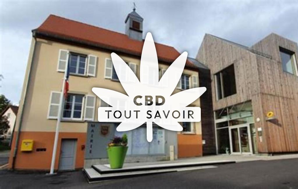 Village à Woelfling-les-Sarreguemines avec feuille Cannabis CBD