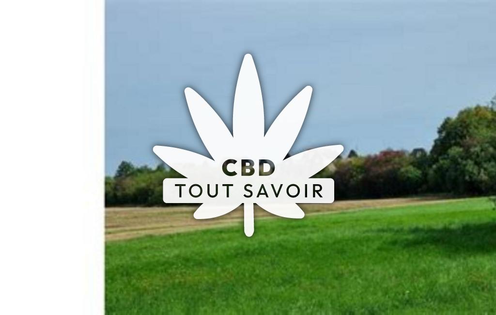 Village à Denting avec feuille Cannabis CBD