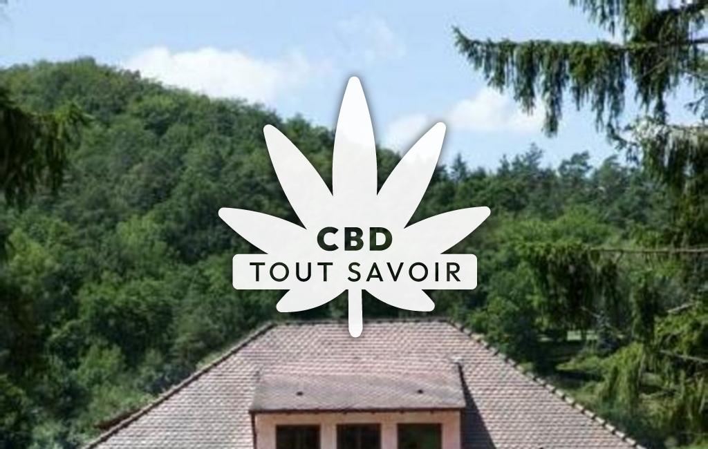 Village à Baerenthal avec feuille Cannabis CBD