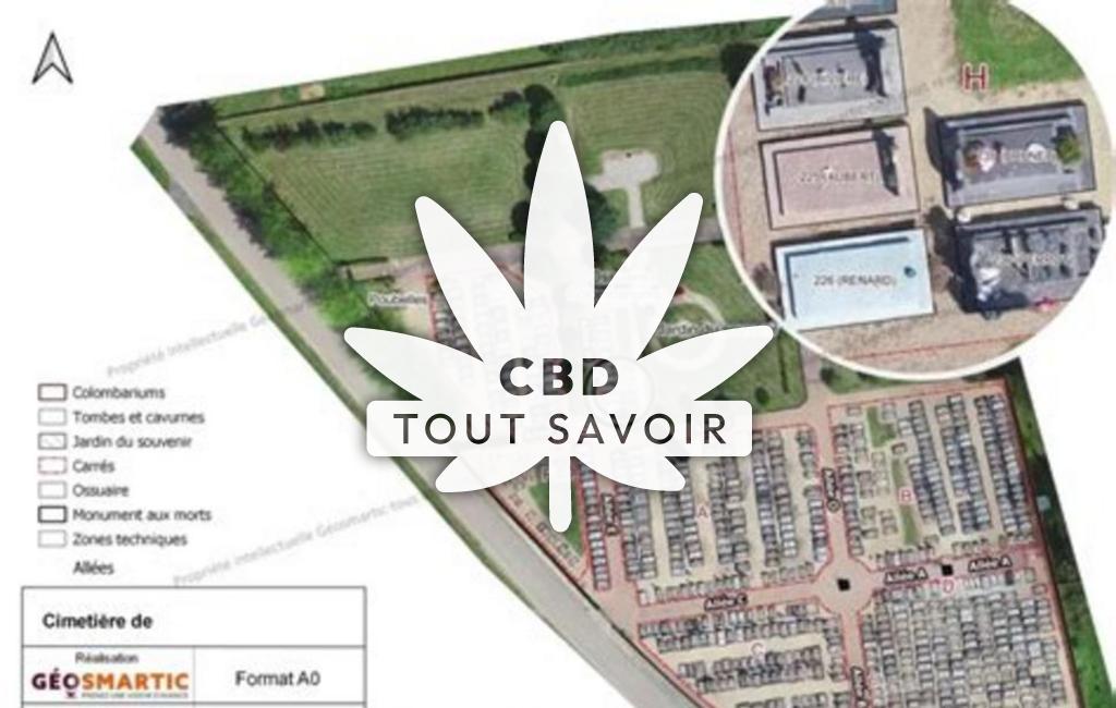 Village à Philippsbourg avec feuille Cannabis CBD