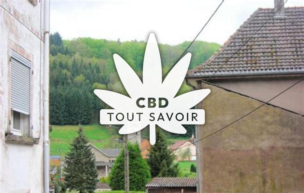 Village à Reyersviller avec feuille Cannabis CBD