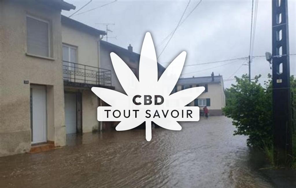 Village à Filstroff avec feuille Cannabis CBD