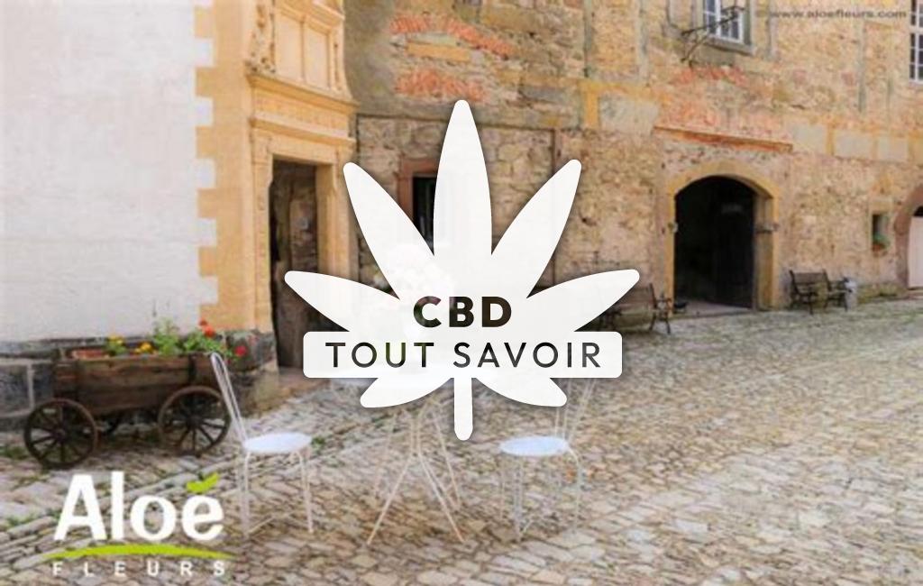 Village à Freistroff avec feuille Cannabis CBD