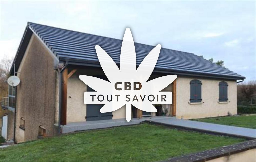 Village à Heining-les-Bouzonville avec feuille Cannabis CBD