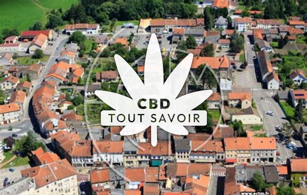 Village à Voelfling-les-Bouzonville avec feuille Cannabis CBD