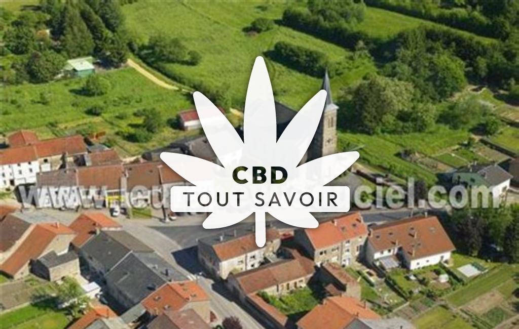 Village à Waldweistroff avec feuille Cannabis CBD
