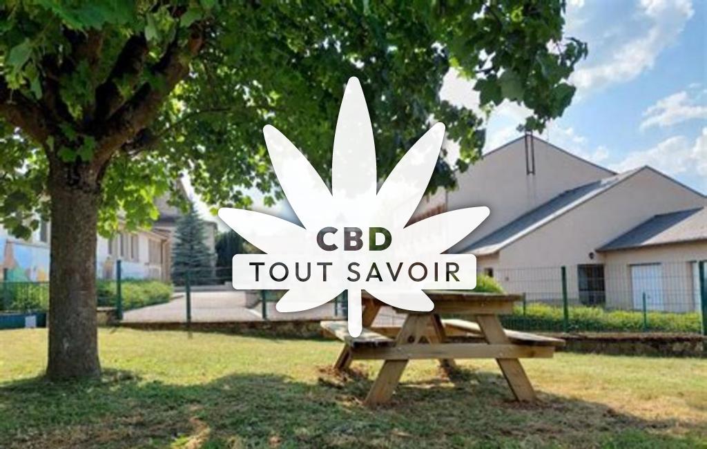 Village à Roussy-le-Village avec feuille Cannabis CBD