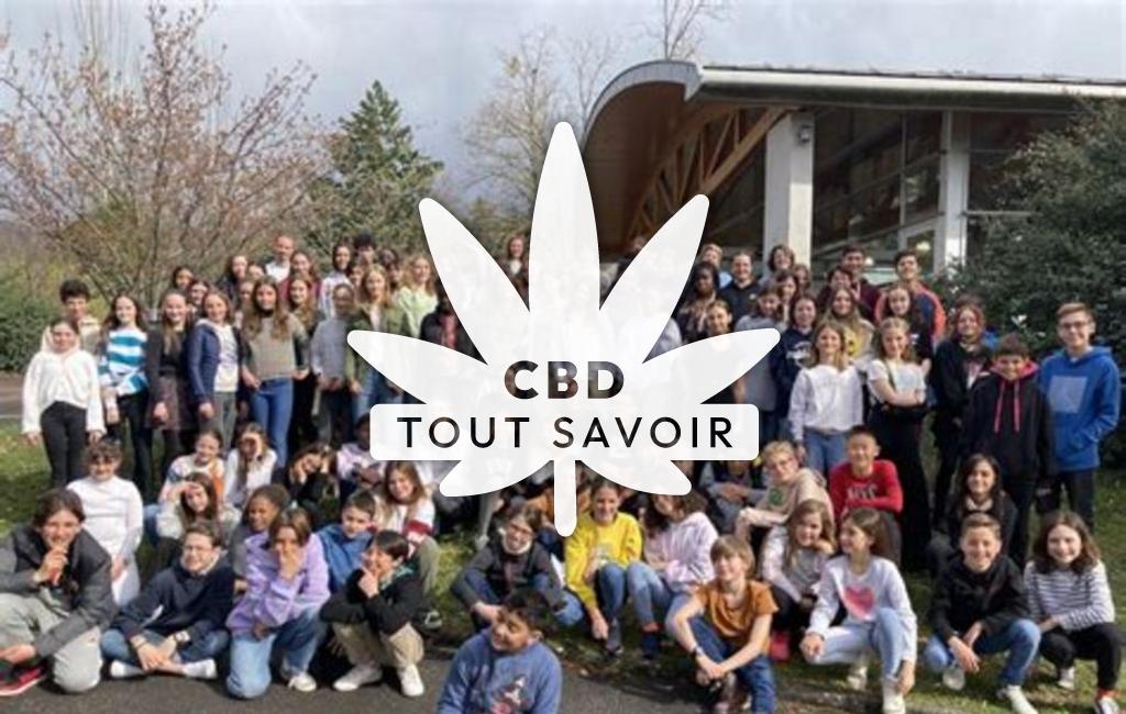 Village à Volmerange-les-Mines avec feuille Cannabis CBD