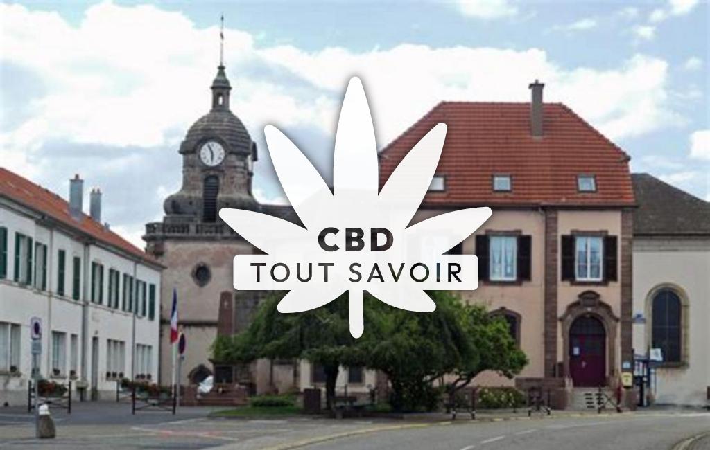 Village à Schneckenbusch avec feuille Cannabis CBD