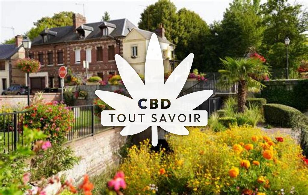 Village à Fleury avec feuille Cannabis CBD