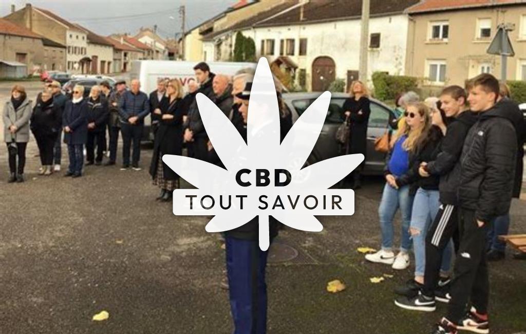 Village à Kerling-les-Sierck avec feuille Cannabis CBD
