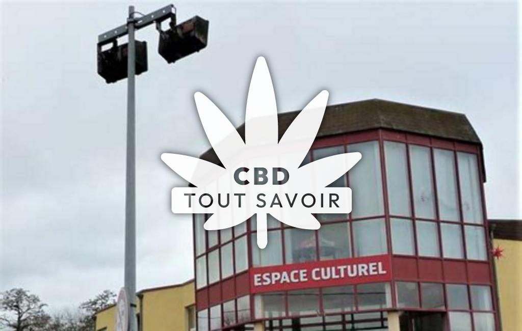 Village à Puttelange-aux-Lacs avec feuille Cannabis CBD
