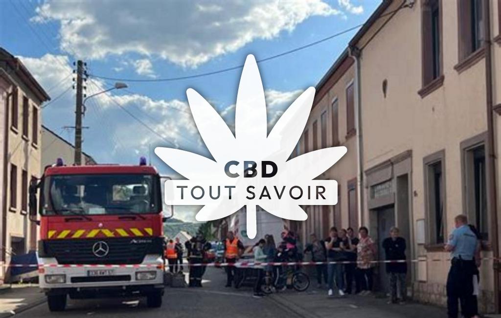 Village à Grosbliederstroff avec feuille Cannabis CBD